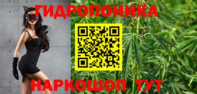СК Лесосибирск