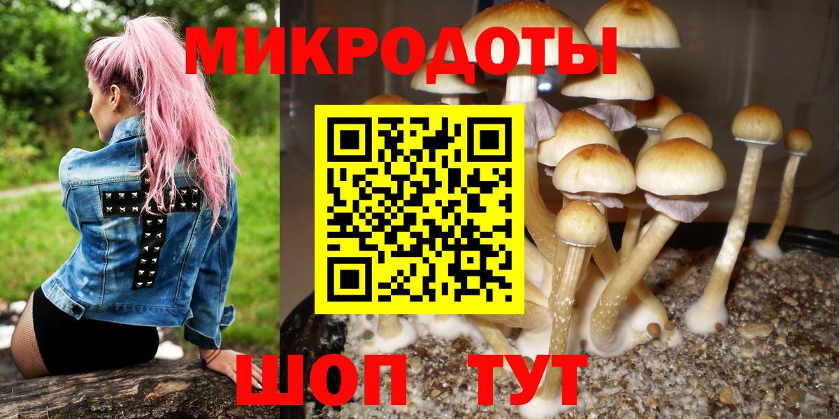 Псилоцибиновые грибы Cubensis  Галлюциногенные грибы Psilocybine cubensis  Вход с VPN  Тосно 